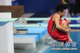 明星网红看跳水视频大全,精彩瞬间大盘点
