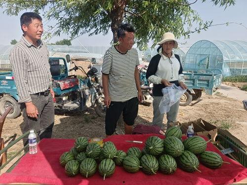 惠州今日吊瓜价格多少钱,实惠之选，品质生活新体验