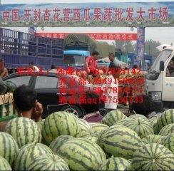 2今日开封无籽瓜的价钱,市民抢购热潮涌动