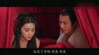 范冰冰的电影,光影交织的银幕传奇