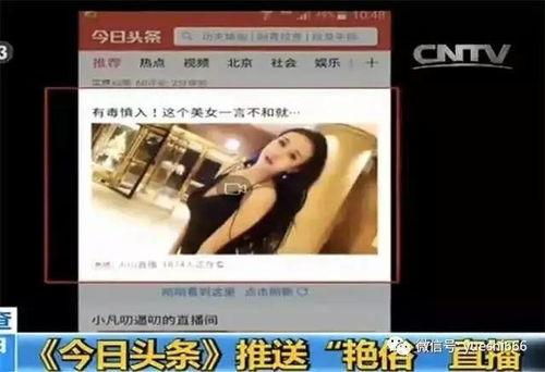 瓜州今日头条现场直播视频