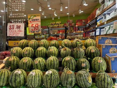 美都无籽麒麟瓜今日价格