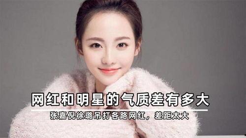 明星网红气质差距很大吗,气质差异大揭秘
