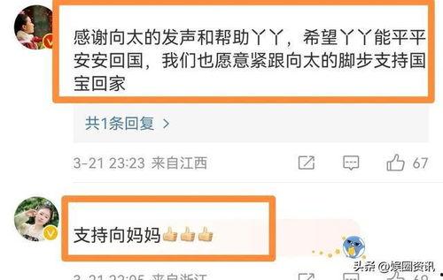明星网红没有替丫丫发声,明星网红为何未为丫丫发声