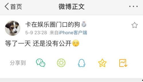 155fun吃瓜热门爆料官网,揭秘娱乐圈最新热点事件
