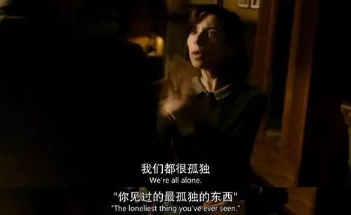 人兽电影,人兽共舞的奇幻之旅