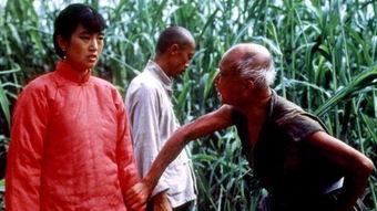 电影红高粱,烽火岁月里的爱情与抗争