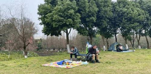 热门话题草坪文案,探索热门话题草坪的魅力与价值