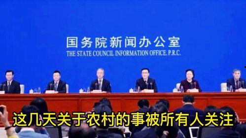 农民会上热门话题,乡村振兴战略下的农业现代化之路