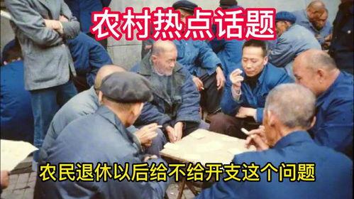 农民会上热门话题,乡村振兴战略下的农业现代化之路