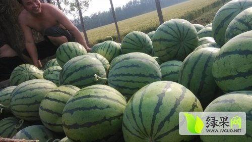 最近有什么热门瓜,揭秘明星背后的惊人真相！