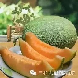 潍坊今日哈密瓜零售价,新鲜美味，价格实惠，尽享夏日清凉”