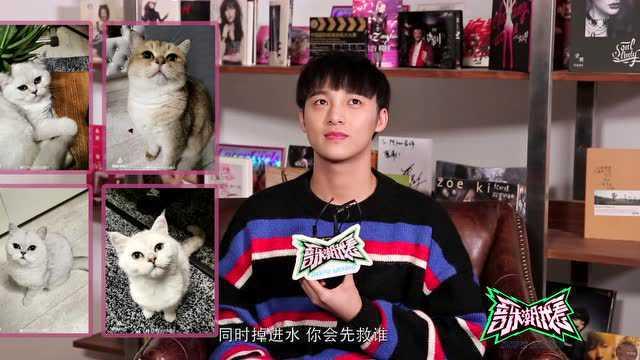 明星网红唱歌杨烁视频,网红视频展现音乐魅力