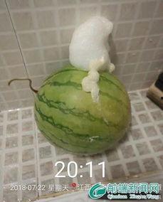 热门事件泡泡吃瓜