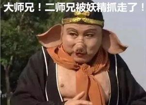 八戒偷瓜要上热门了吗,网络热议，热门话题即将引爆