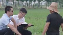 近期的热门吃瓜新闻,揭秘明星们的幕后故事