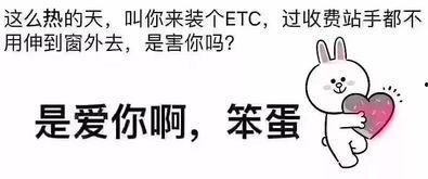 吃瓜点评热门文案,盘点热门文案背后的故事与真相