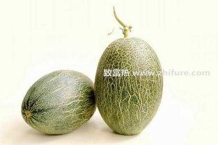 嘉兴市场哈密瓜行情今日行情,今日价格波动及市场动态