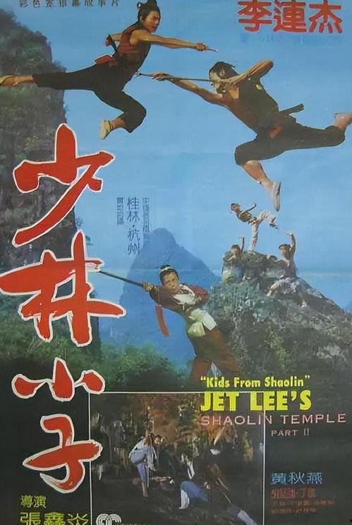 少林小子电影,武术传奇，青春热血