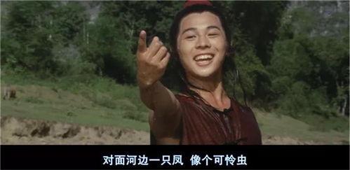 少林小子电影,武术传奇，青春热血