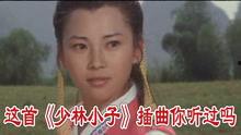 少林小子电影,武术传奇，青春热血