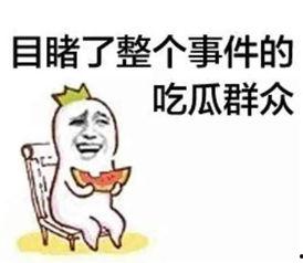 今日吃瓜文案短句搞笑版,搞笑文案盘点