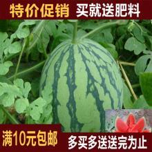 往期热门旧瓜,那些年我们错过的精彩瞬间