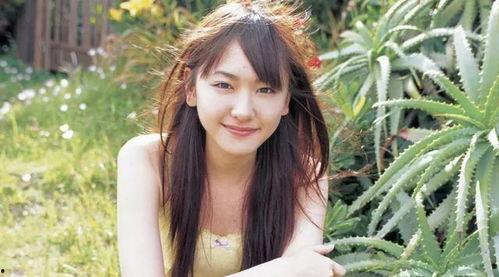 新垣结衣电影,光影交织的浪漫旅程