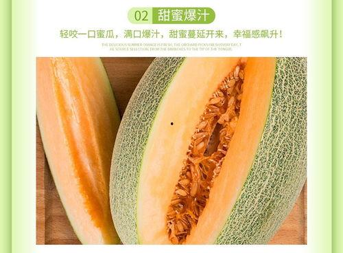 万邦海南哈密瓜今日行情,今日价格走势解析