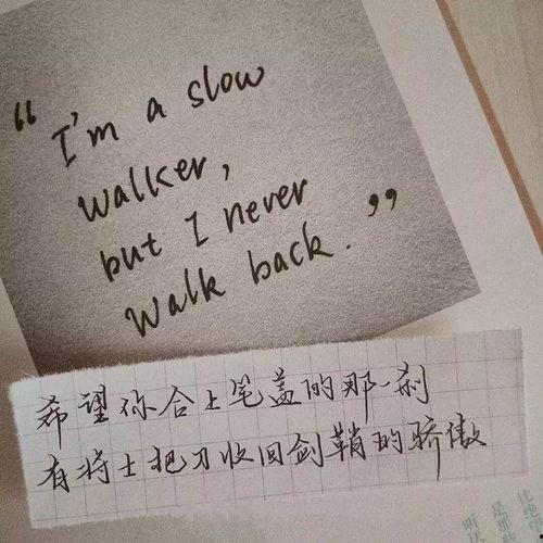 古诗励志文案热门话题,探寻古诗中的热门话题