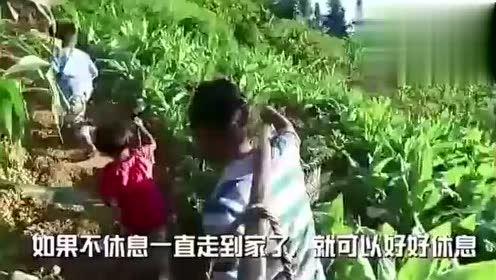 定州近期热门吃瓜事件视频,视频揭秘背后的真相