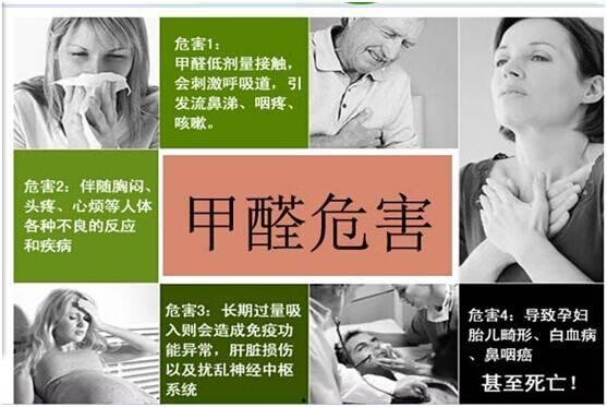 热门话题甲醛治理方法,揭秘热门环保家居解决方案