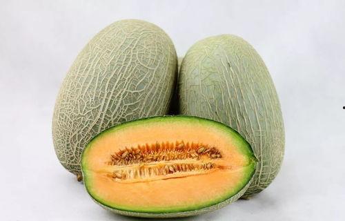 海南尖椒今日价格行情哈密瓜