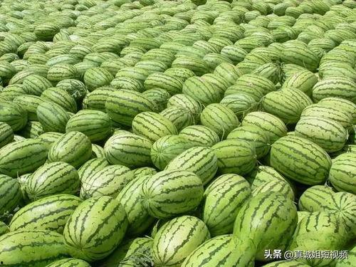 热门大瓜吃瓜爆料图片