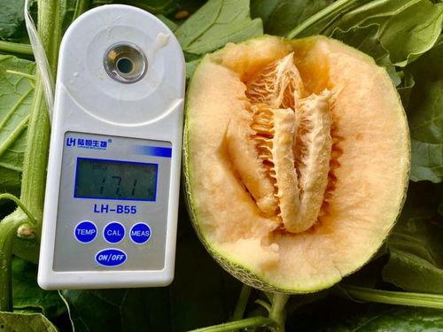 吃瓜热门合集,盘点娱乐圈最新最热话题