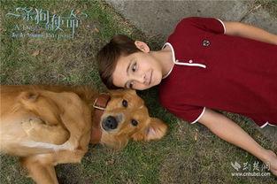 狗的电影,一段跨越生死的守护传奇