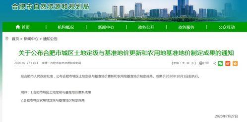 合肥今日瓜价最新消息新闻,今日行情一览