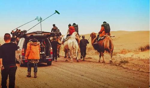 沙漠电影,探寻神秘沙漠的奇幻之旅