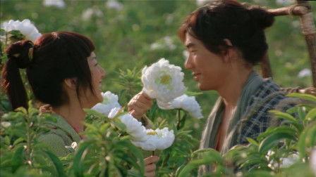 电影花,绽放的生命，永恒的感动
