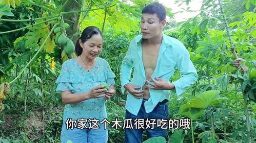 今日摘瓜视频大全免费观看,今日摘瓜视频大全精彩呈现