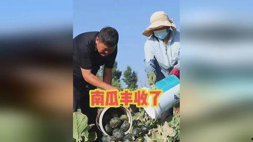 吃瓜收获今日快乐下一句