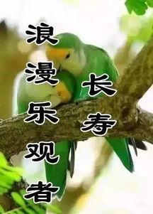 吃瓜收获今日快乐下一句