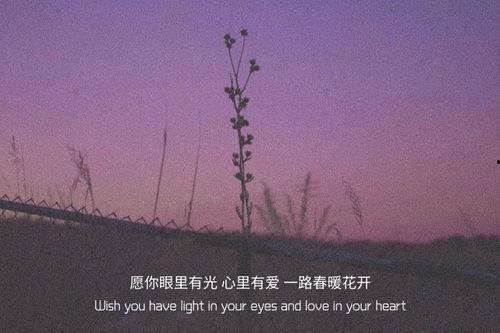 初恋文案热门话题,那些心动瞬间，温暖了我们的青春岁月