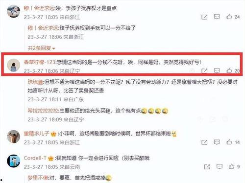 又成了热门话题,探寻热门话题背后的故事与影响