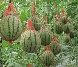 句容近期热门吃瓜事件