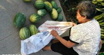 句容近期热门吃瓜事件