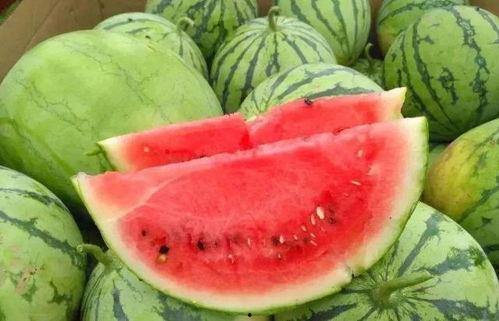 元谋今日三月瓜价格表,瓜果飘香，市场行情一览