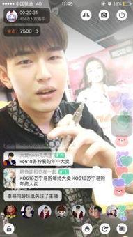 明星网红款直播有哪些,热门产品背后的秘密