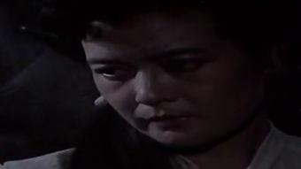 国产经典老电影,国产经典老电影中的时代印记