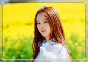 明星网红拍照用的软件,热门拍照软件大比拼